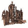 Dry Woods